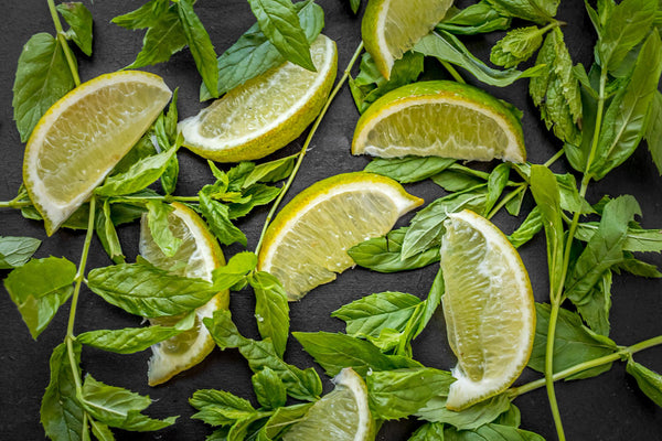<b>Top Notes:</b> Lemon Zest, Fresh Herbs, Bergamot