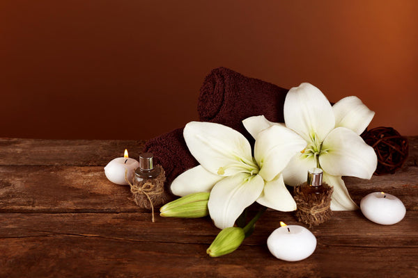 <b>Base Notes:</b> Cashmere Wood, Musk, Vanilla