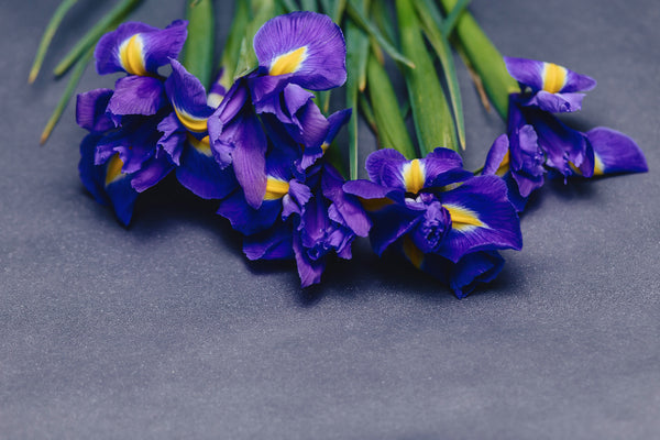 <b>Heart Notes:</b> Iris, Rose Petals, Violet