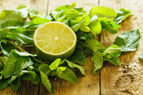 <b>Top Notes:</b> Lemon, Bergamot, Fresh Mint