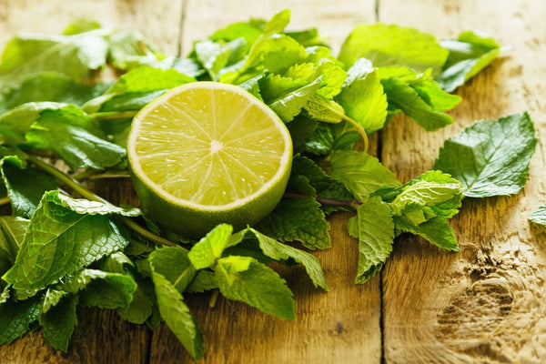 <b>Top Notes:</b> Lemon, Bergamot, Fresh Mint