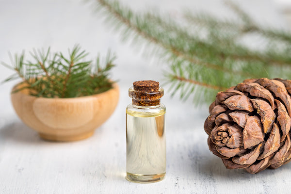 <b>Base Notes:</b> White Musk, Cedarwood, Amber