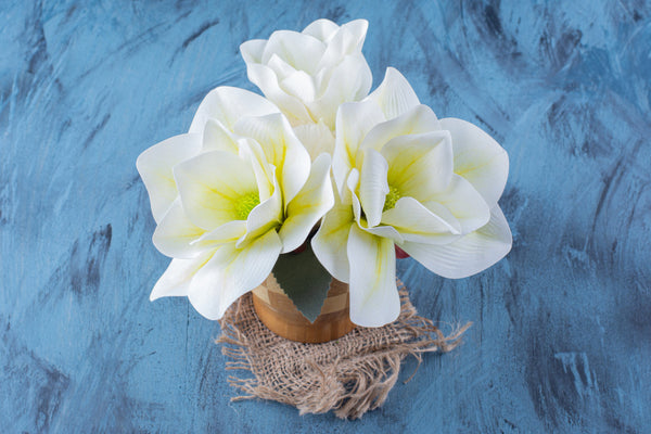 <b>Heart Notes:</b>  Lavender, Tuberose, Neroli