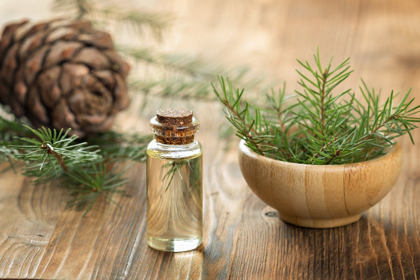 <b>Base Notes:</b> Musk, Cedarwood, Vetiver