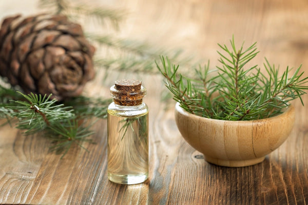 <b>Base Notes:</b> Musk, Cedarwood, Vetiver