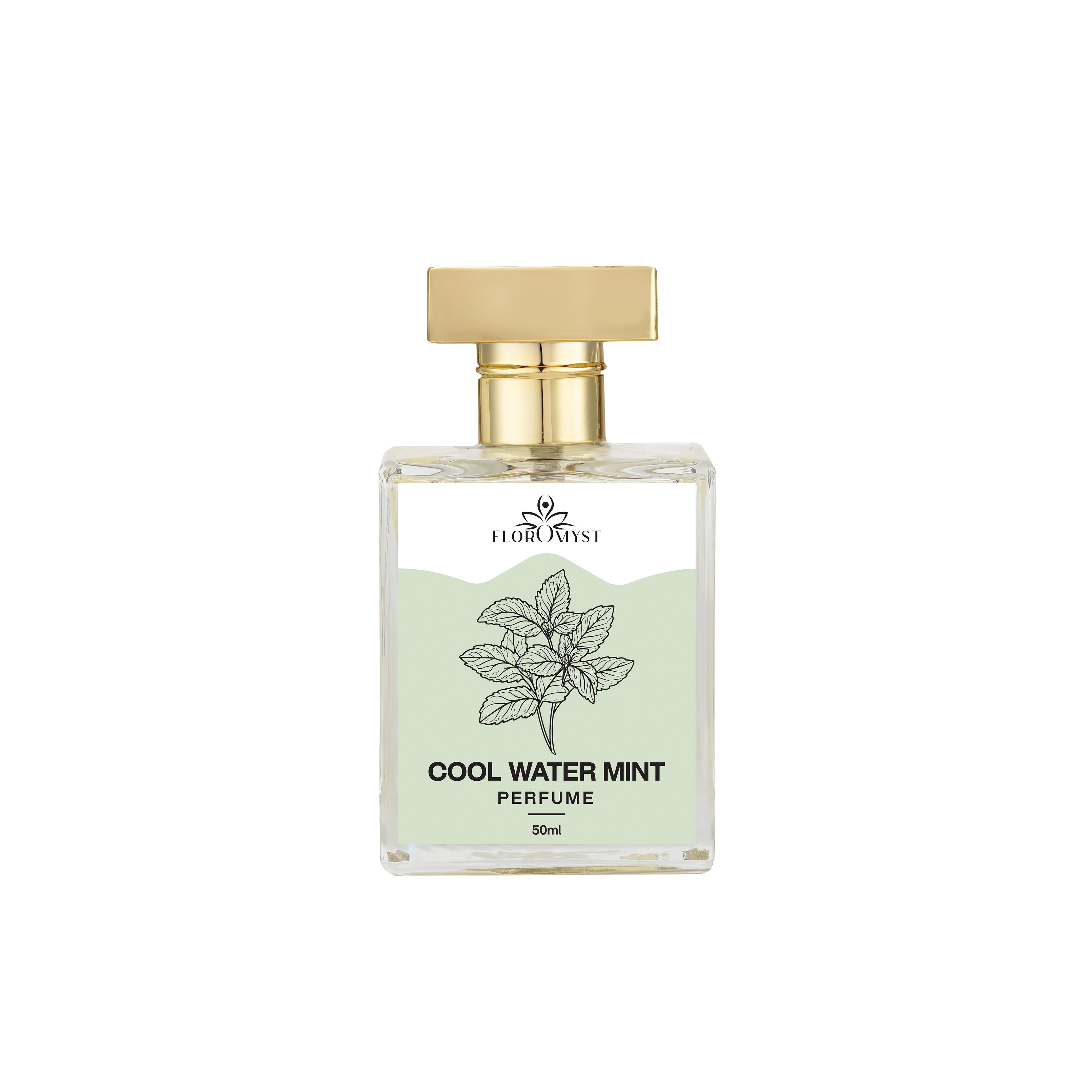 Cool Water Mint Perfume 50ML