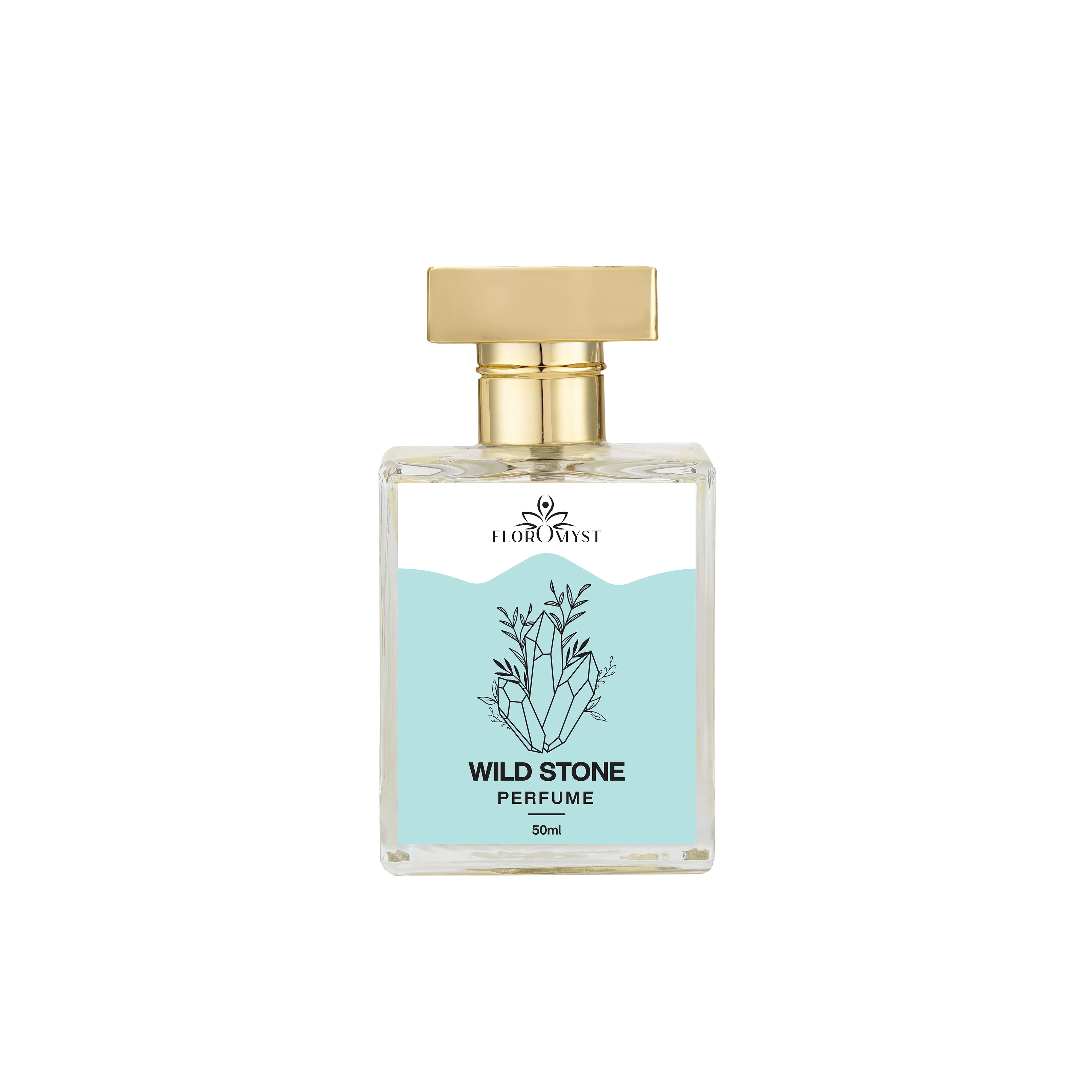 Wild Stone Perfume 50ML